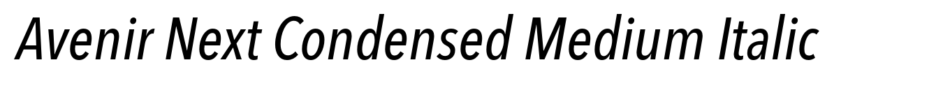 Avenir Next Condensed Medium Italic